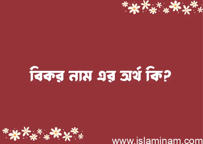 বিকর নামের অর্থ কি? ইসলামিক আরবি বাংলা অর্থ এবং নামের তাৎপর্য