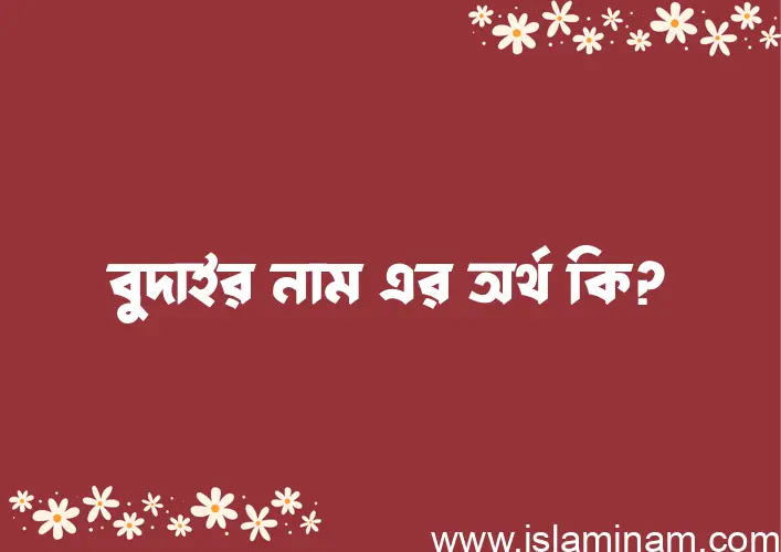 বুদাইর নামের অর্থ কি? বুদাইর নামের ইসলামিক অর্থ এবং বিস্তারিত তথ্য সমূহ