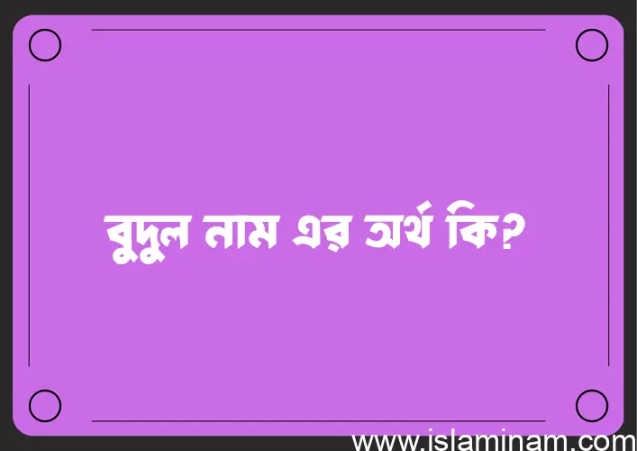 বুদুল নামের অর্থ কি? বুদুল নামের বাংলা, আরবি/ইসলামিক অর্থসমূহ