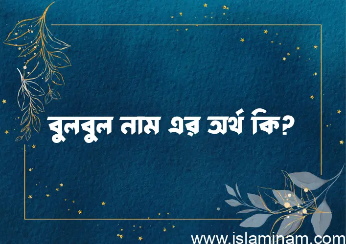 বুলবুল নামের অর্থ কি? (ব্যাখ্যা ও বিশ্লেষণ) জানুন