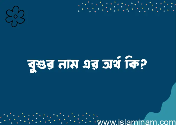 বুশুর নামের অর্থ কি? বুশুর নামের ইসলামিক অর্থ এবং বিস্তারিত তথ্য সমূহ