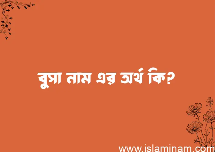 বুসা নামের অর্থ কি? বুসা নামের বাংলা, আরবি/ইসলামিক অর্থসমূহ