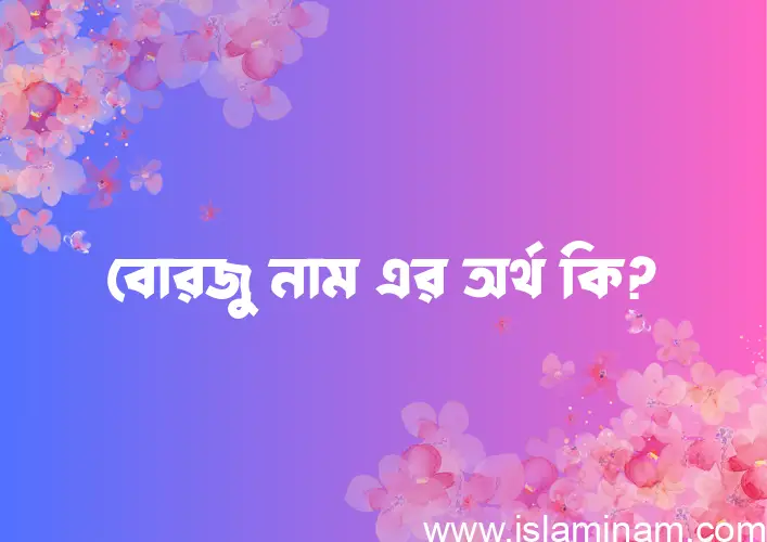 বোরজু নামের আর্থ কি?