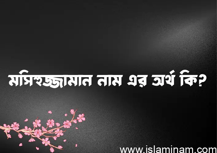 মসিহুজ্জামান নামের অর্থ কি? মসিহুজ্জামান নামের বাংলা, আরবি/ইসলামিক অর্থসমূহ