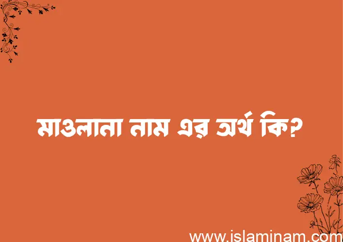 মাওলানা নামের অর্থ কি? মাওলানা নামের বাংলা, আরবি/ইসলামিক অর্থসমূহ