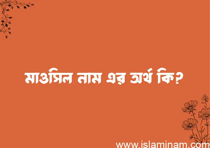 মাওসিল নামের অর্থ কি এবং ইসলাম কি বলে? (বিস্তারিত)