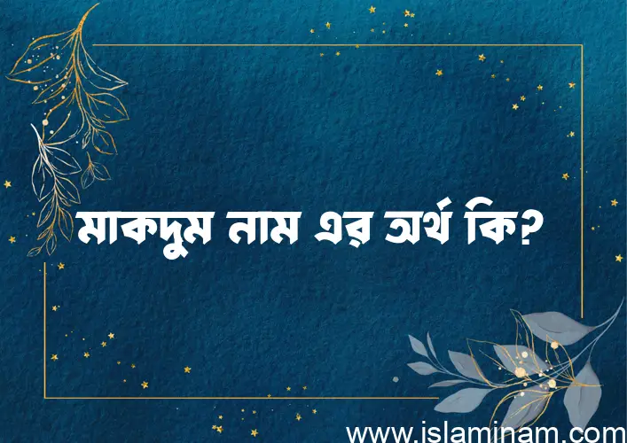 মাকদুম নামের অর্থ কি? মাকদুম নামের বাংলা, আরবি/ইসলামিক অর্থসমূহ