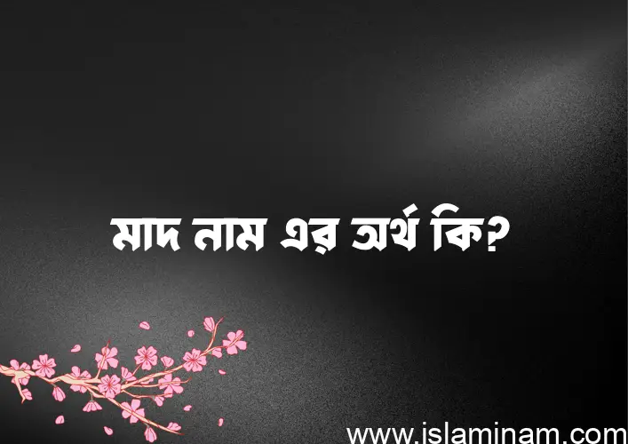 মাদ নামের অর্থ কি? মাদ নামের বাংলা, আরবি/ইসলামিক অর্থসমূহ