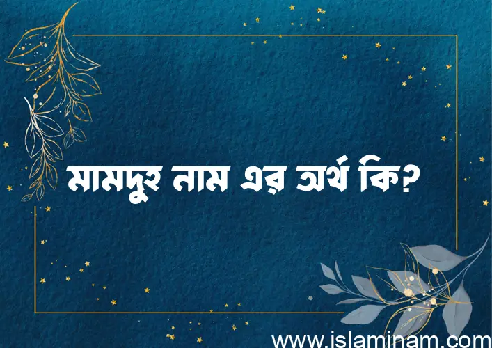 মামদুহ নামের অর্থ কি? মামদুহ নামের বাংলা, আরবি/ইসলামিক অর্থসমূহ