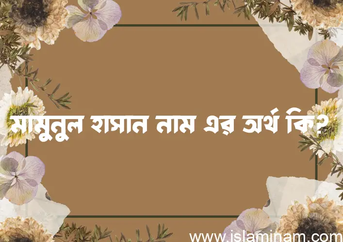 মামুনুল হাসান নামের অর্থ কি? মামুনুল হাসান নামের ইসলামিক অর্থ এবং বিস্তারিত তথ্য সমূহ