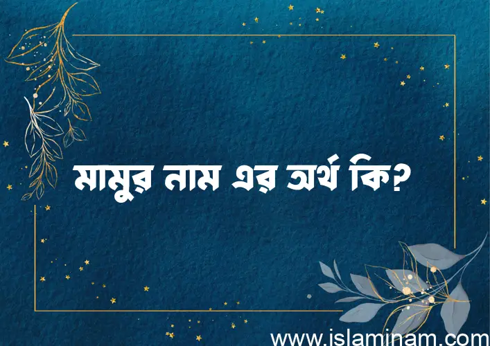 মামুর নামের অর্থ কি? মামুর নামের বাংলা, আরবি/ইসলামিক অর্থসমূহ