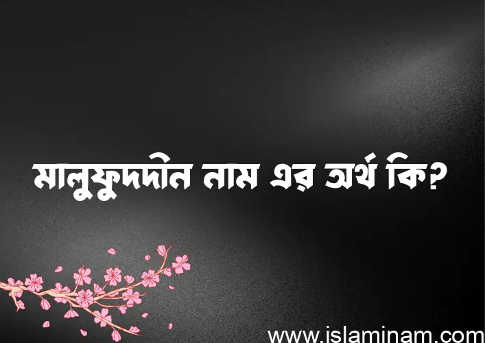 মালুফুদদীন নামের অর্থ কি? ইসলামিক আরবি বাংলা অর্থ এবং নামের তাৎপর্য