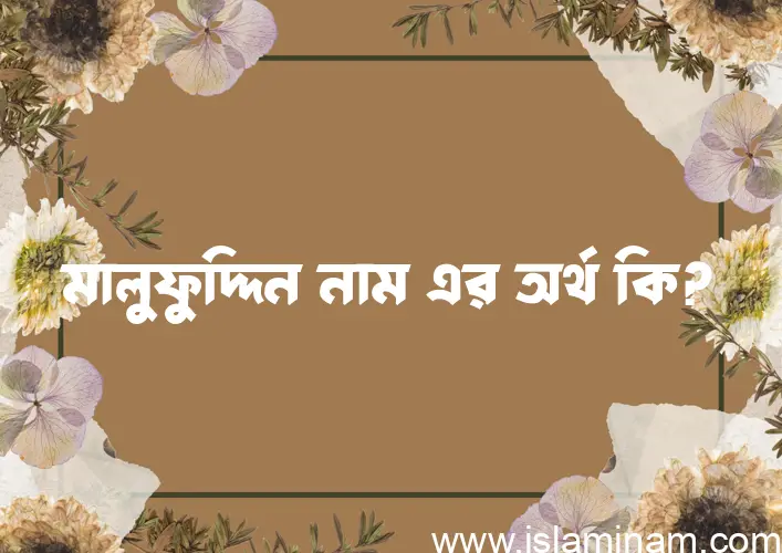 মালুফুদ্দিন নামের অর্থ কি? ইসলামিক আরবি বাংলা অর্থ এবং নামের তাৎপর্য