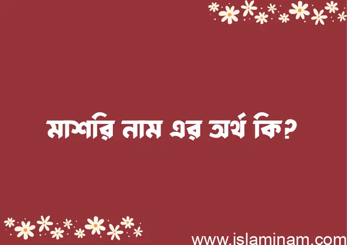 মাশরি নামের অর্থ কি? মাশরি নামের বাংলা, আরবি/ইসলামিক অর্থসমূহ