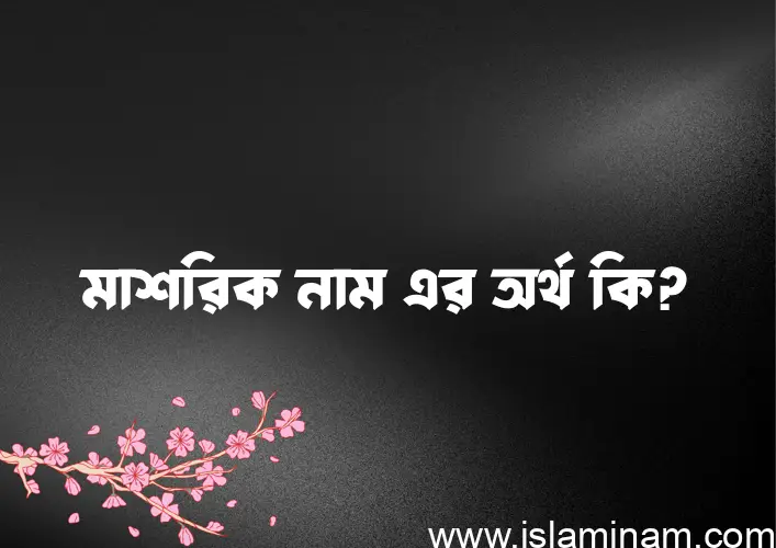 মাশরিক নামের অর্থ কি? (ব্যাখ্যা ও বিশ্লেষণ) জানুন