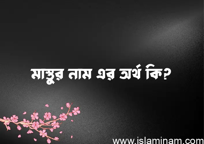 মাস্তুর নামের অর্থ কি? মাস্তুর নামের বাংলা, আরবি/ইসলামিক অর্থসমূহ