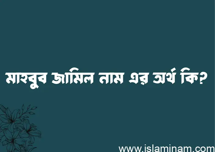 মাহবুব জামিল নামের অর্থ কি এবং ইসলাম কি বলে? (বিস্তারিত)