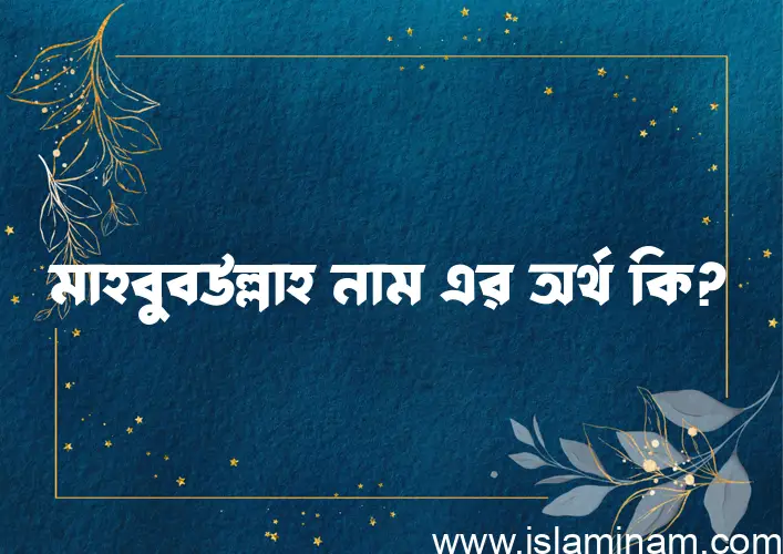 মাহবুবউল্লাহ নামের অর্থ কি এবং ইসলাম কি বলে? (বিস্তারিত)