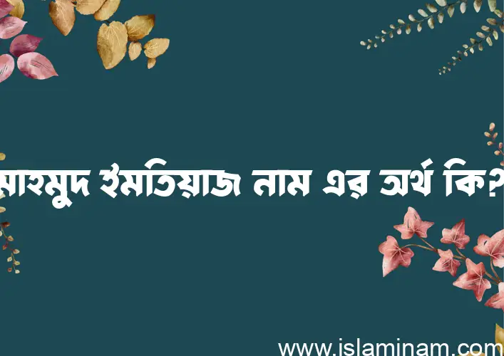 মাহমুদ ইমতিয়াজ নামের আর্থ কি?