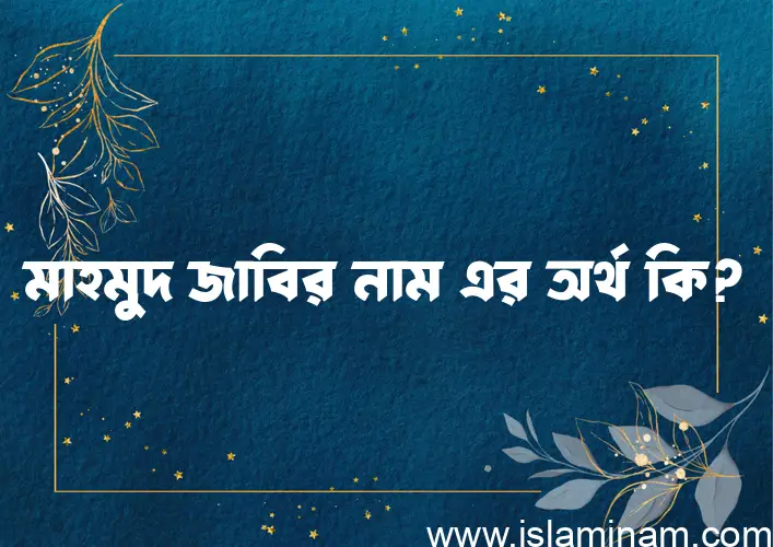 মাহমুদ জাবির নামের অর্থ কি? (ব্যাখ্যা ও বিশ্লেষণ) জানুন