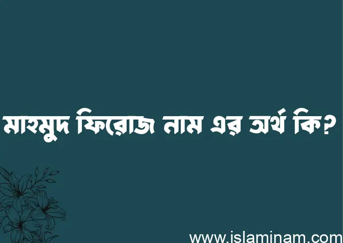 মাহমুদ ফিরোজ নামের অর্থ কি? মাহমুদ ফিরোজ নামের ইসলামিক অর্থ এবং বিস্তারিত তথ্য সমূহ