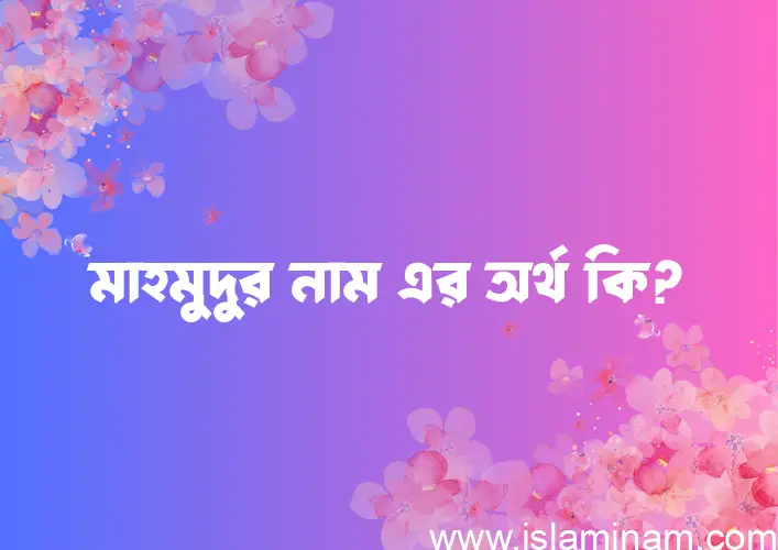 মাহমুদুর নামের অর্থ কি? মাহমুদুর নামের বাংলা, আরবি/ইসলামিক অর্থসমূহ