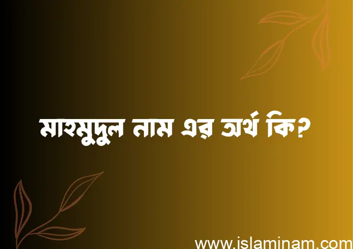 মাহমুদুল নামের অর্থ কি? ইসলামিক আরবি বাংলা অর্থ এবং নামের তাৎপর্য