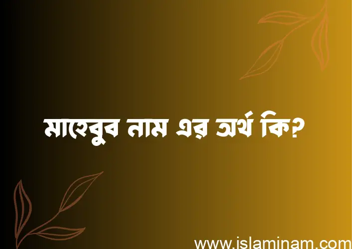 মাহেবুব নামের অর্থ কি, বাংলা ইসলামিক এবং আরবি অর্থ?