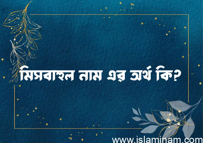 মিসবাহুল নামের অর্থ কি? মিসবাহুল নামের বাংলা, আরবি/ইসলামিক অর্থসমূহ