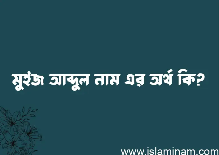 মুইজ আব্দুল নামের অর্থ কি? (ব্যাখ্যা ও বিশ্লেষণ) জানুন