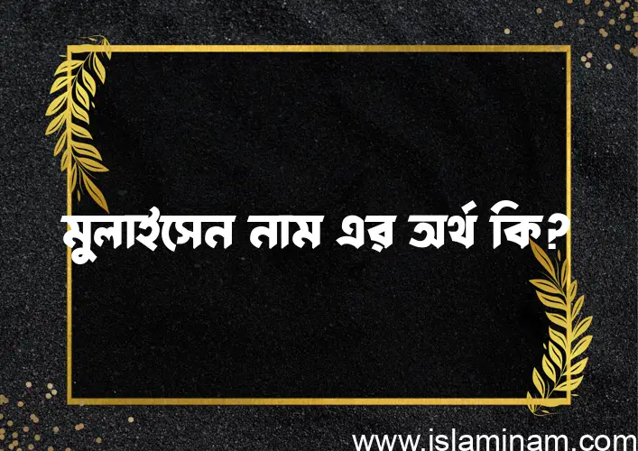 মুলাইসেন নামের অর্থ কি? মুলাইসেন নামের ইসলামিক অর্থ এবং বিস্তারিত তথ্য সমূহ