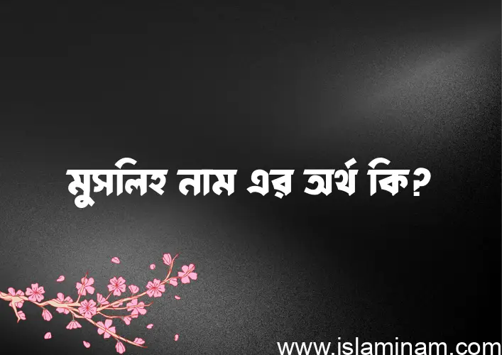 মুসলিহ নামের অর্থ কি? মুসলিহ নামের বাংলা, আরবি/ইসলামিক অর্থসমূহ