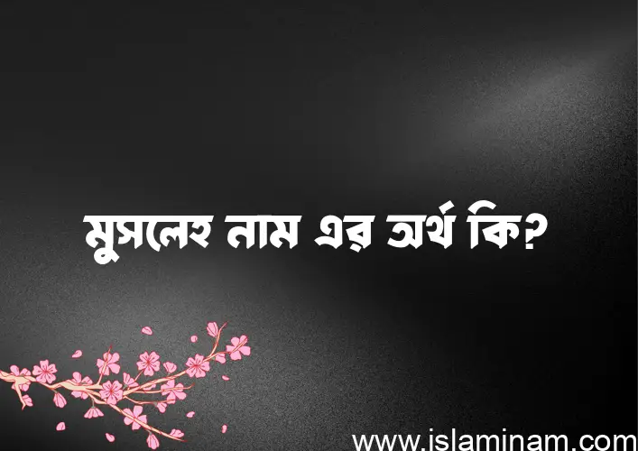 মুসলেহ নামের অর্থ কি? (ব্যাখ্যা ও বিশ্লেষণ) জানুন