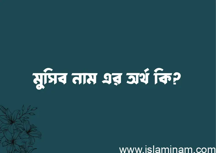 মুসিব নামের অর্থ কি? ইসলামিক আরবি বাংলা অর্থ এবং নামের তাৎপর্য