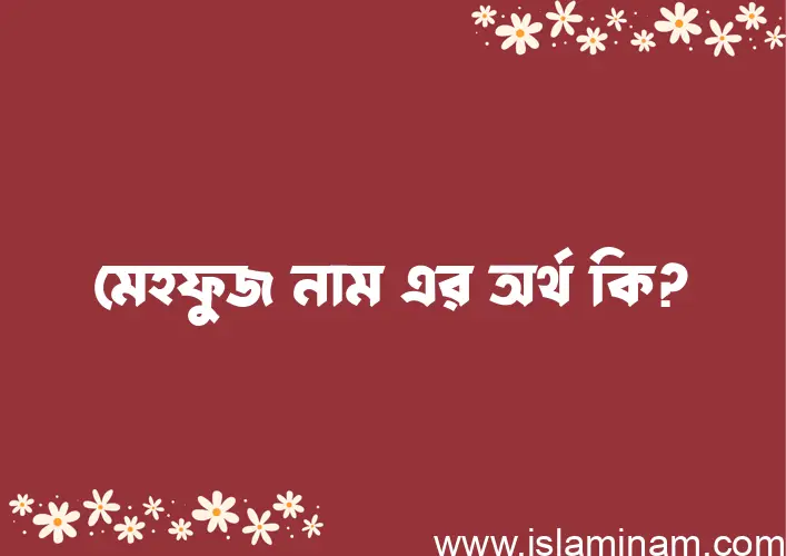 মেহফুজ নামের অর্থ কি? (ব্যাখ্যা ও বিশ্লেষণ) জানুন