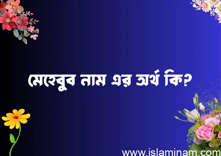 মেহেবুব নামের অর্থ কি? মেহেবুব নামের ইসলামিক অর্থ এবং বিস্তারিত তথ্য সমূহ