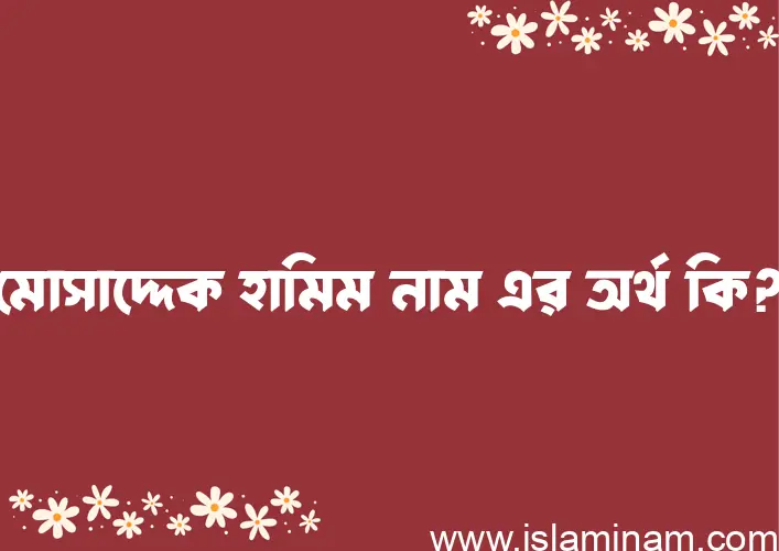 মোসাদ্দেক হামিম নামের অর্থ কি? মোসাদ্দেক হামিম নামের বাংলা, আরবি/ইসলামিক অর্থসমূহ