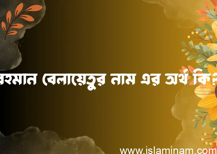 রহমান বেলায়েতুর নামের অর্থ কি? রহমান বেলায়েতুর নামের বাংলা, আরবি/ইসলামিক অর্থসমূহ