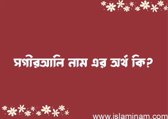 সগীরআলি নামের অর্থ কি? (ব্যাখ্যা ও বিশ্লেষণ) জানুন