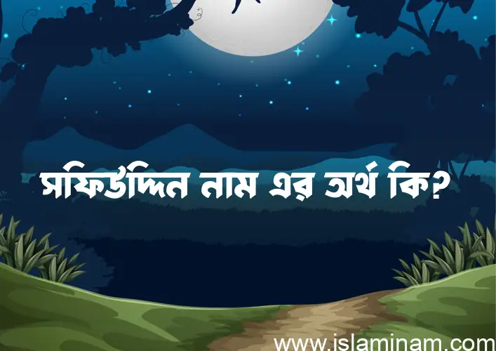 সফিউদ্দিন নামের অর্থ কি? সফিউদ্দিন নামের বাংলা, আরবি/ইসলামিক অর্থসমূহ