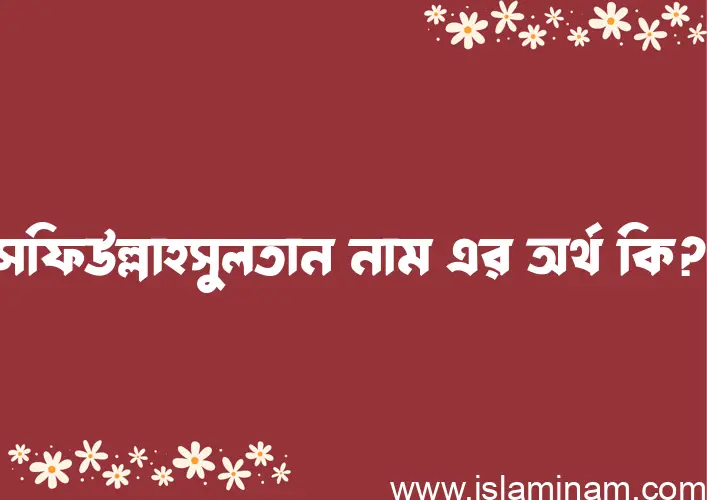 সফিউল্লাহসুলতান নামের অর্থ কি? সফিউল্লাহসুলতান নামের বাংলা, আরবি/ইসলামিক অর্থসমূহ