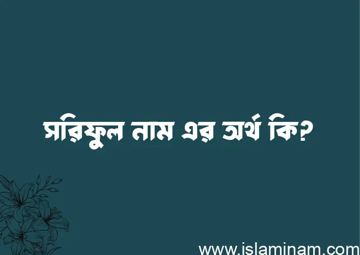 সরিফুল নামের অর্থ কি? সরিফুল নামের ইসলামিক অর্থ এবং বিস্তারিত তথ্য সমূহ