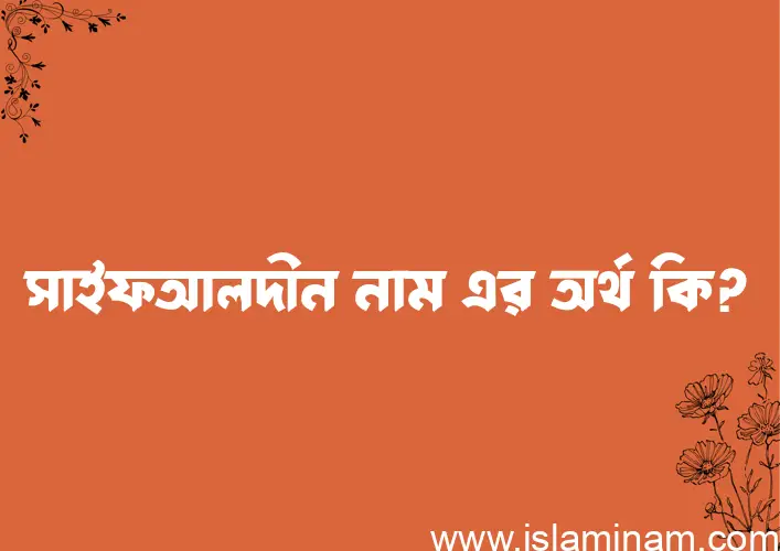 সাইফআলদীন নামের অর্থ কি? (ব্যাখ্যা ও বিশ্লেষণ) জানুন