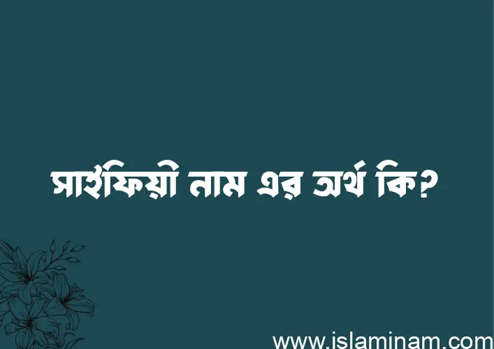 সাইফিয়ী নামের অর্থ কি এবং ইসলাম কি বলে? (বিস্তারিত)