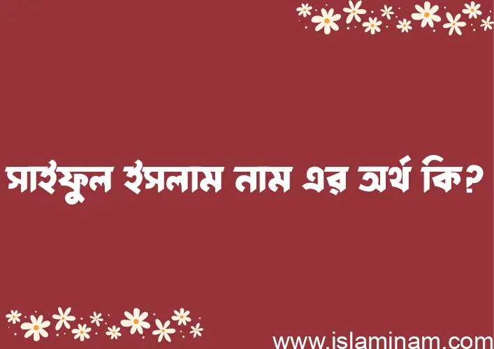 সাইফুল ইসলাম নামের অর্থ কি? সাইফুল ইসলাম নামের ইসলামিক অর্থ এবং বিস্তারিত তথ্য সমূহ