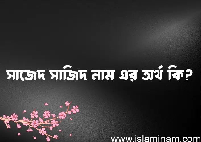 সাজেদ সাজিদ নামের অর্থ কি এবং ইসলাম কি বলে? (বিস্তারিত)