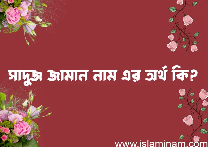 সাদুজ জামান নামের অর্থ কি? সাদুজ জামান নামের বাংলা, আরবি/ইসলামিক অর্থসমূহ