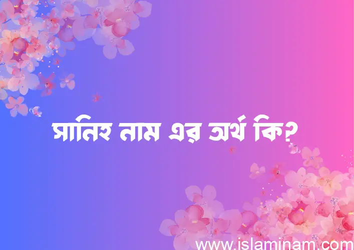 সানিহ নামের অর্থ কি এবং ইসলাম কি বলে? (বিস্তারিত)