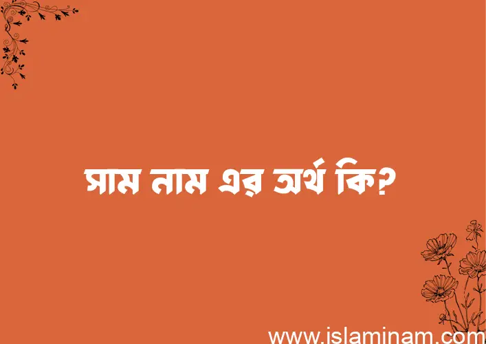 সাম নামের অর্থ কি? ইসলামিক আরবি বাংলা অর্থ এবং নামের তাৎপর্য