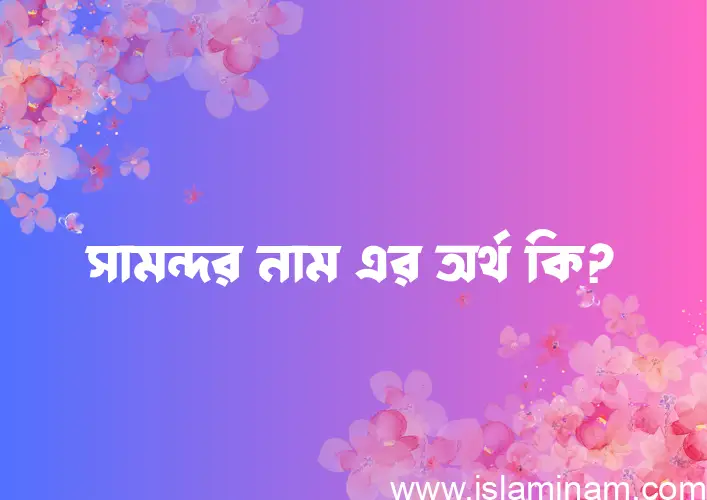 সামন্দর নামের অর্থ কি? সামন্দর নামের বাংলা, আরবি/ইসলামিক অর্থসমূহ